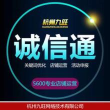 时代译舟翻译公司 专业翻译与网页本地化服务的领先者